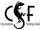 Logo CSF